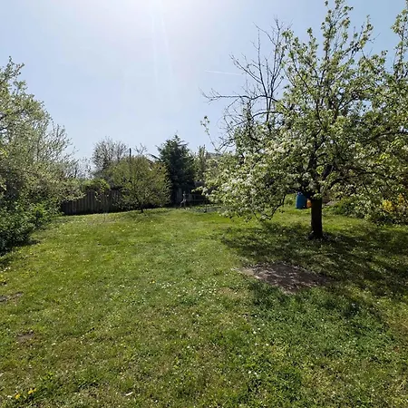 In - Balaton 54325 Apartmán